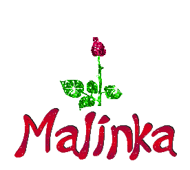Naamanimaties Malinka 