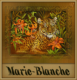 Naamanimaties Marie-blanche 