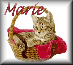 Naamanimaties Marie 