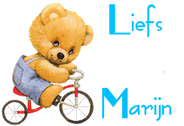 Naamanimaties Marijn 