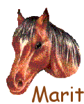 Naamanimaties Marit 