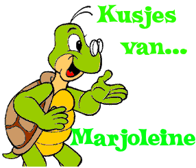 Naamanimaties Marjoleine Groene Schilpad Kusjes Van Marjoleine