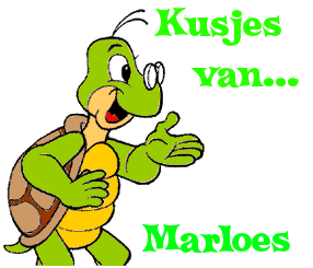 Naamanimaties Marloes 