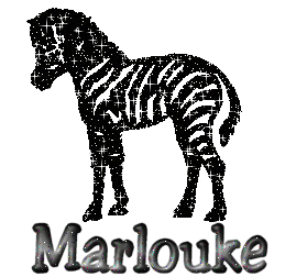 Naamanimaties Marlouke 