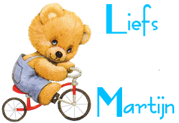 Naamanimaties Martijn 