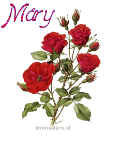 Naamanimaties Mary 