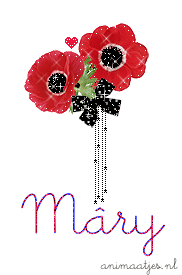 Naamanimaties Mary 