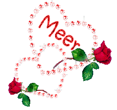 Naamanimaties Meer 
