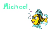Naamanimaties Michael 