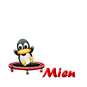 Naamanimaties Mien 