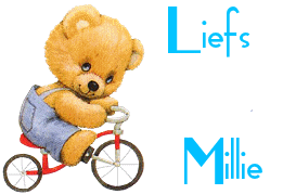 Naamanimaties Millie 