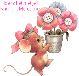 Naamanimaties Morganne Hoe Is Het Met Je Morganne 