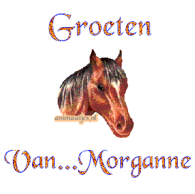 Naamanimaties Morganne 