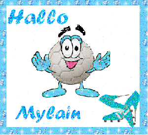 Naamanimaties Mylain 