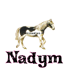 Naamanimaties Nadym 
