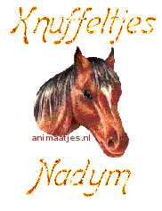 Naamanimaties Nadym 
