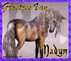 Naamanimaties Nadym 