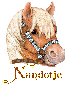 Naamanimaties Nandotje 