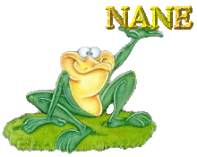 Naamanimaties Nane 
