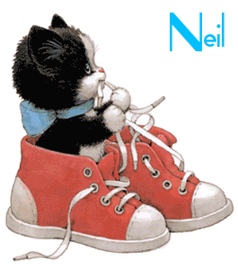 Naamanimaties Neil 