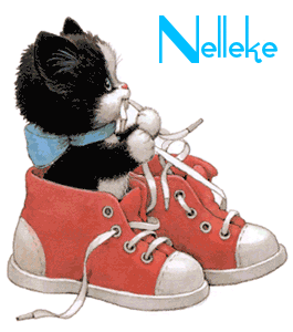 Naamanimaties Nelleke 