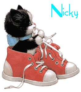 Naamanimaties Nicky 