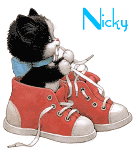Naamanimaties Nico 