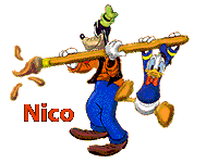 Naamanimaties Nico Nico Disney Goofy En Donald Duck Verf Kwast