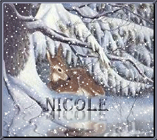 Naamanimaties Nicole 