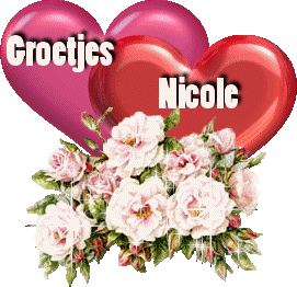 Naamanimaties Nicole 