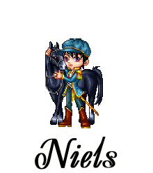 Naamanimaties Niels 