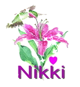 Naamanimaties Nikki 