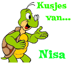 Naamanimaties Nisa 