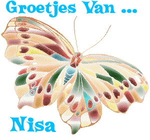 Naamanimaties Nisa 