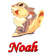 Naamanimaties Noah 