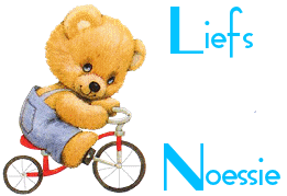 Naamanimaties Noessie 