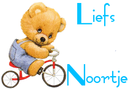 Naamanimaties Noortje 