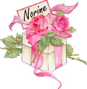 Naamanimaties Norine 