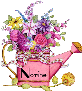 Naamanimaties Norine 