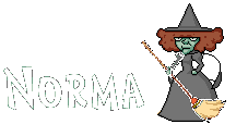 Naamanimaties Norma 