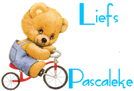 Naamanimaties Pascaleke Liefs Pascaleke