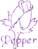 Naamanimaties Pepper 