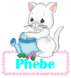 Naamanimaties Phebe 