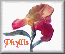 Naamanimaties Phyllis 