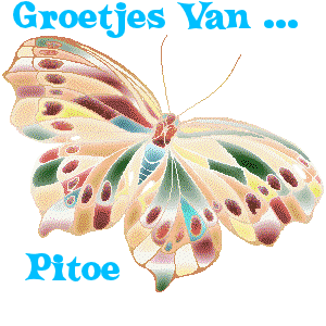 Naamanimaties Pitoe 