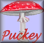 Naamanimaties Puckey 