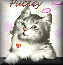 Naamanimaties Puckey 