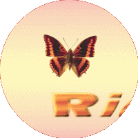 Naamanimaties Ricky 
