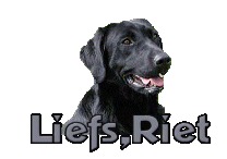 Naamanimaties Riet 