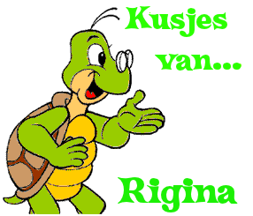 Naamanimaties Rigina 